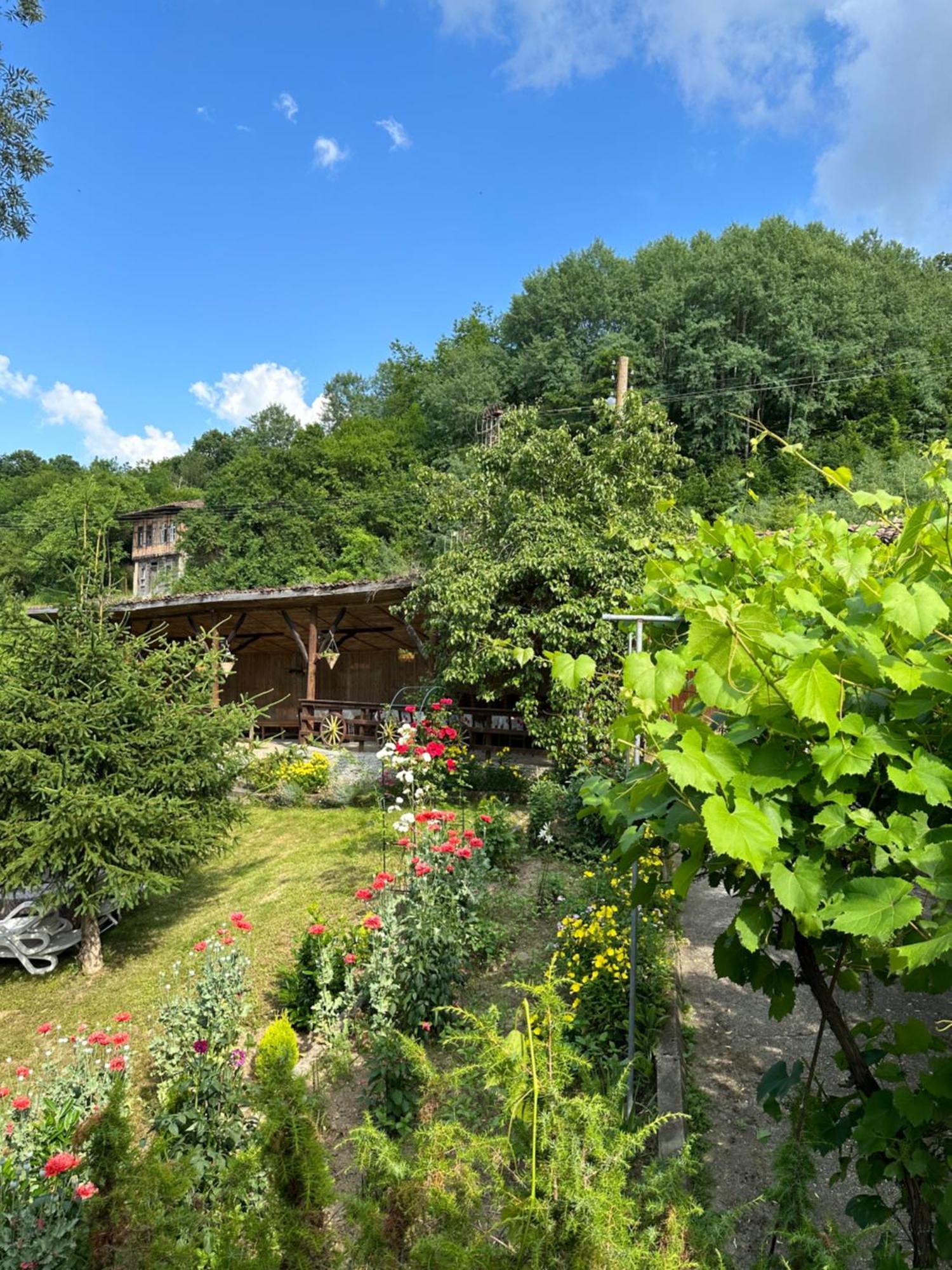 Вила Чевермето Palitsi Exterior photo