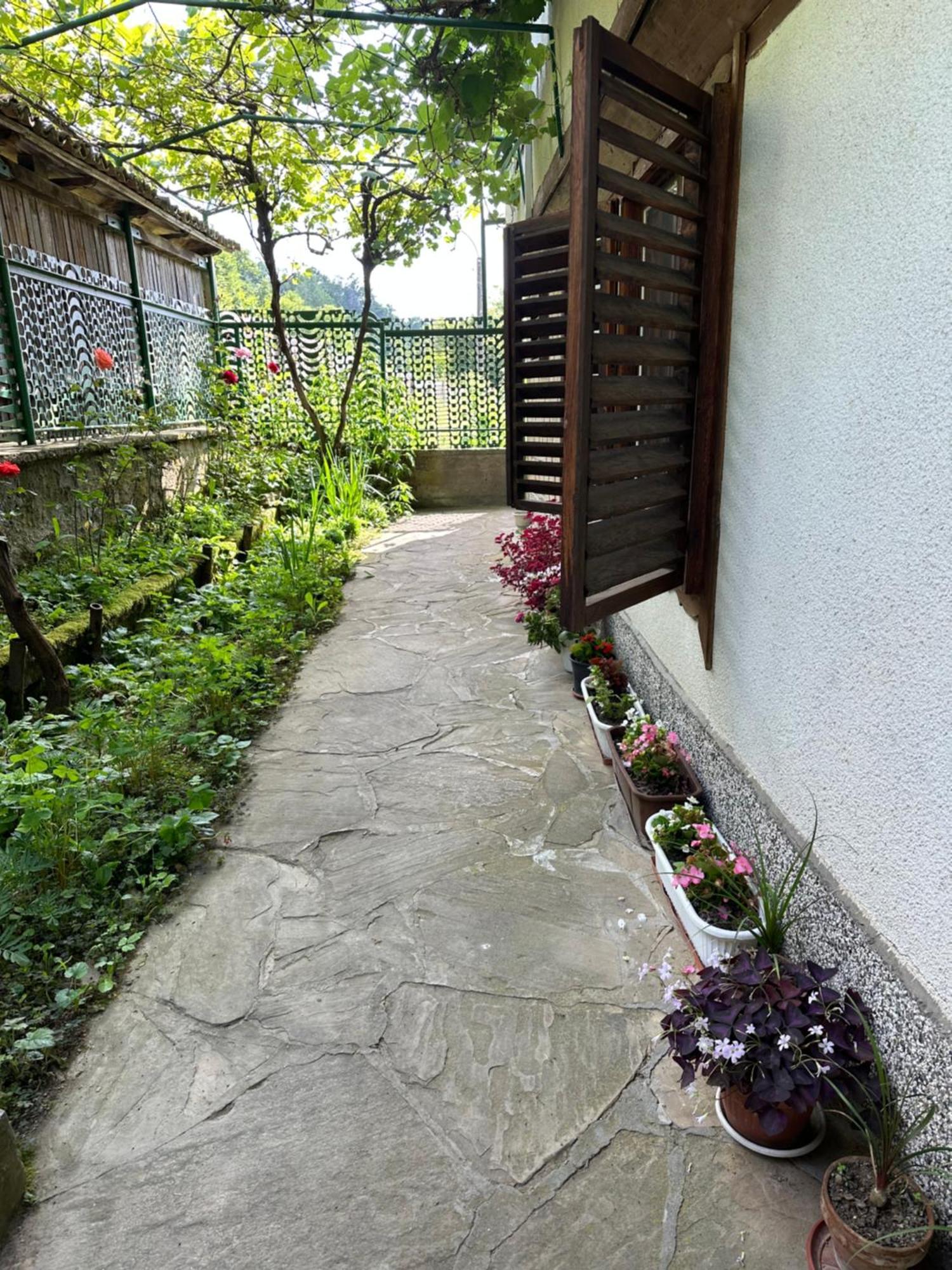 Вила Чевермето Palitsi Exterior photo