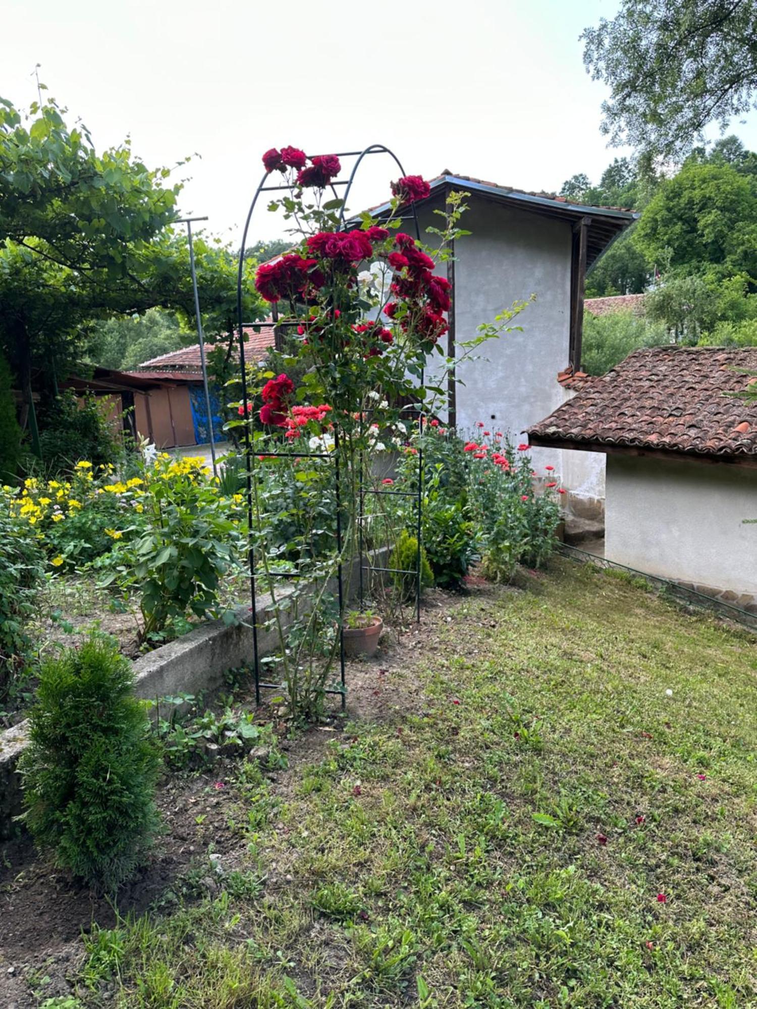Вила Чевермето Palitsi Exterior photo