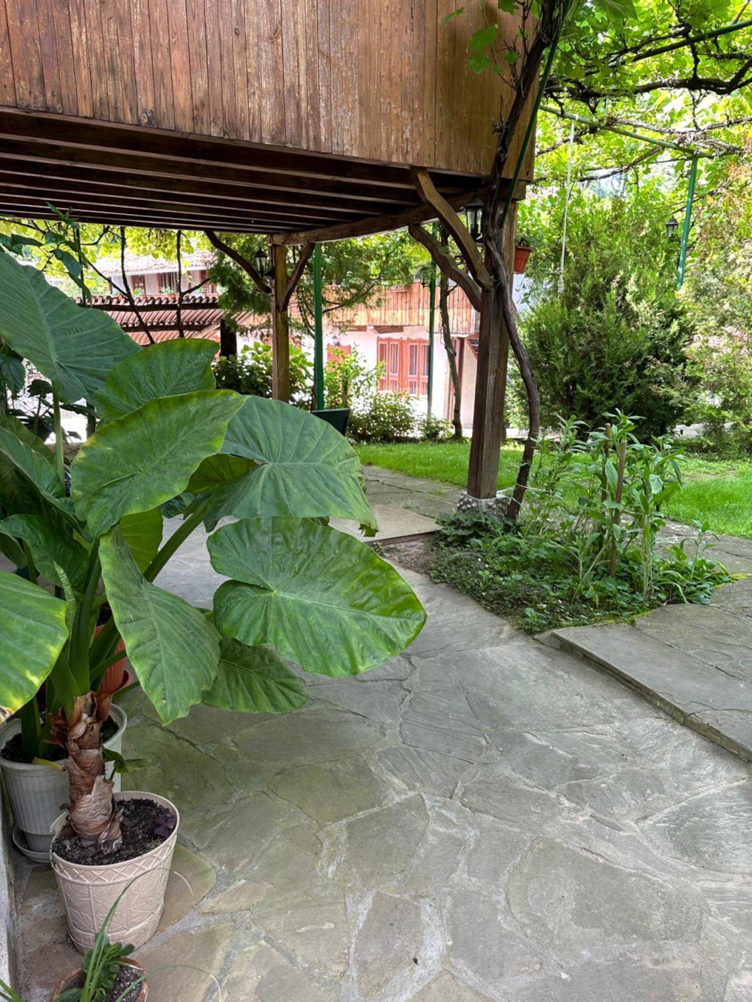 Вила Чевермето Palitsi Exterior photo