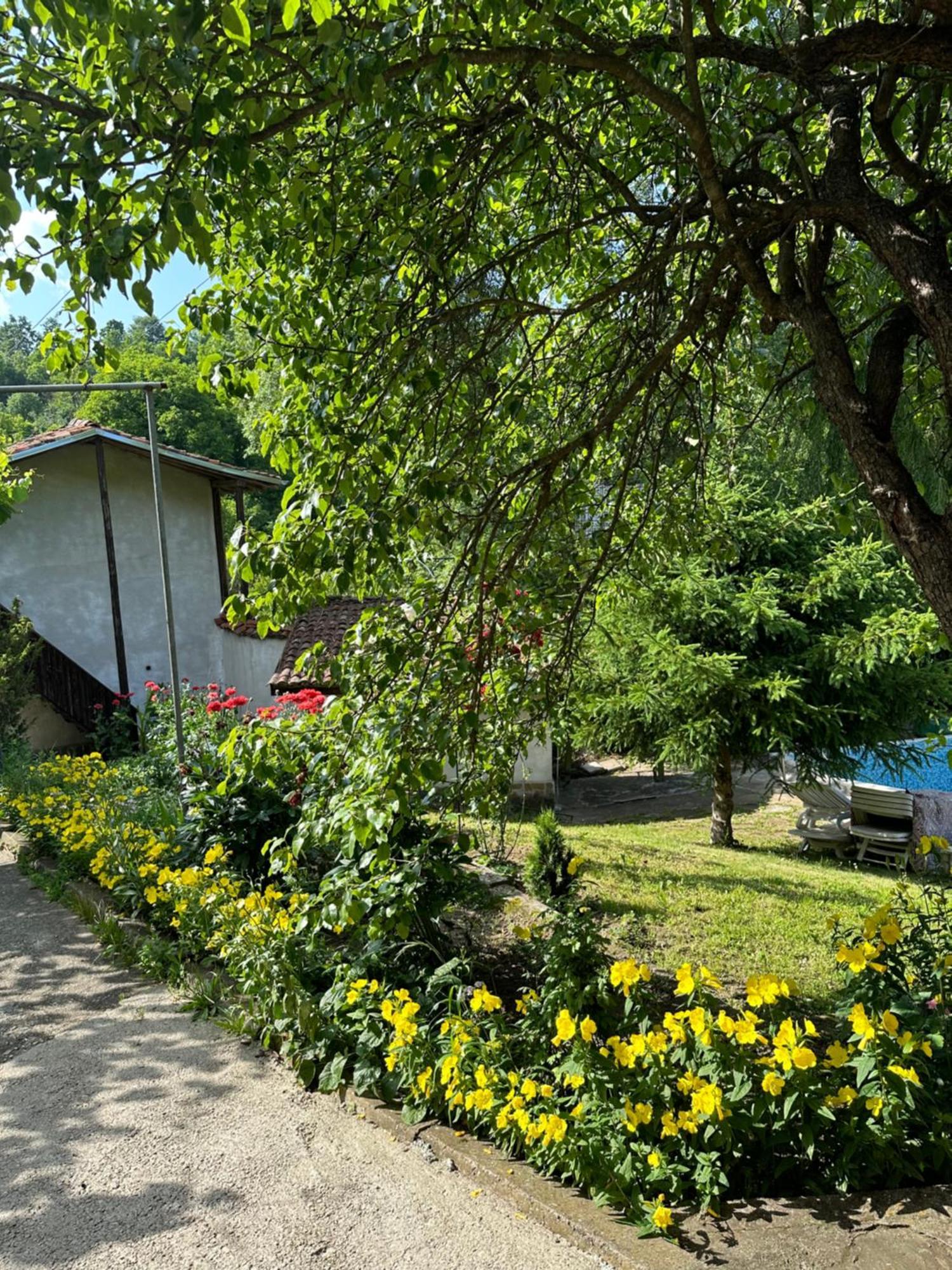 Вила Чевермето Palitsi Exterior photo