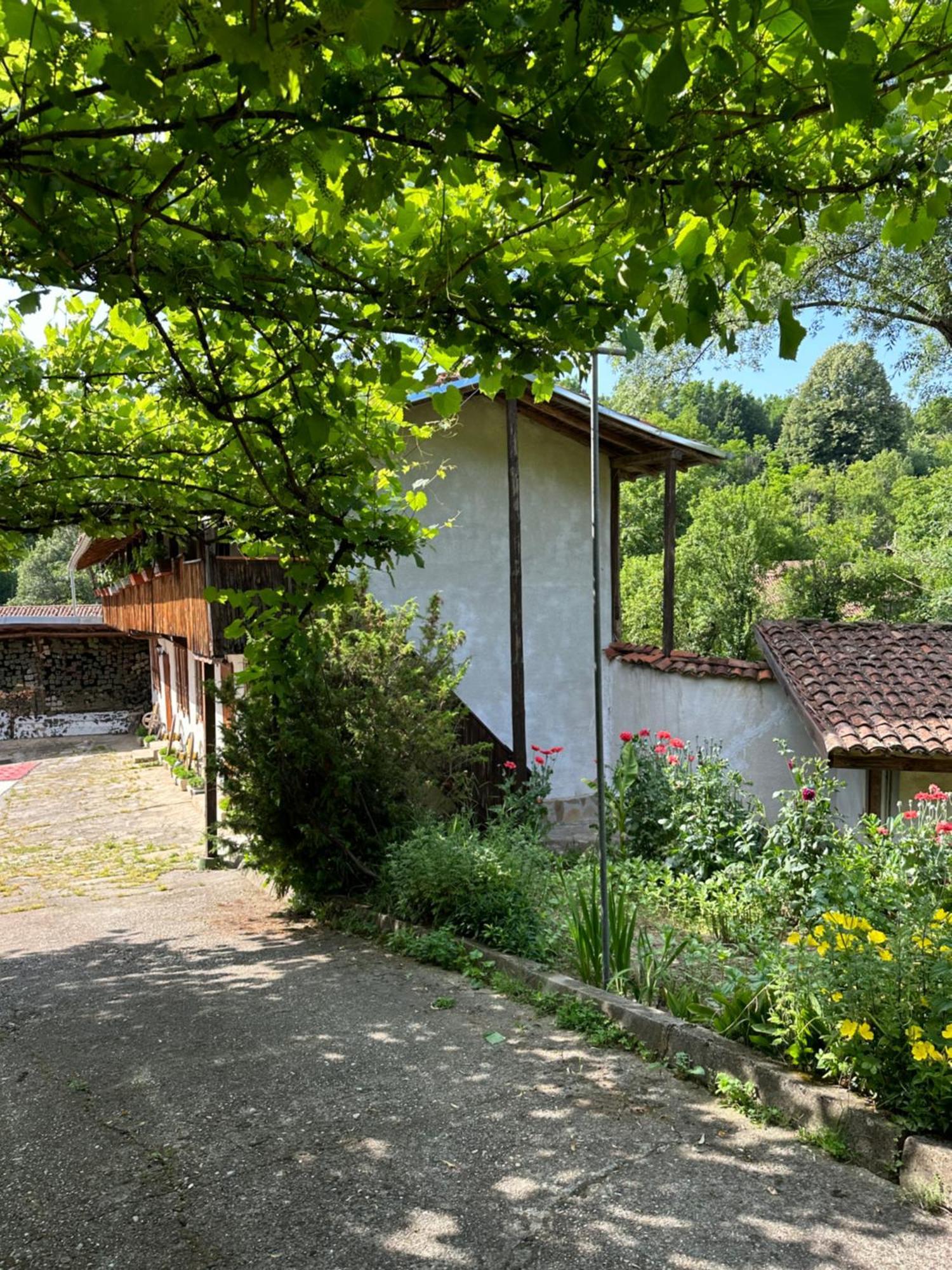 Вила Чевермето Palitsi Exterior photo