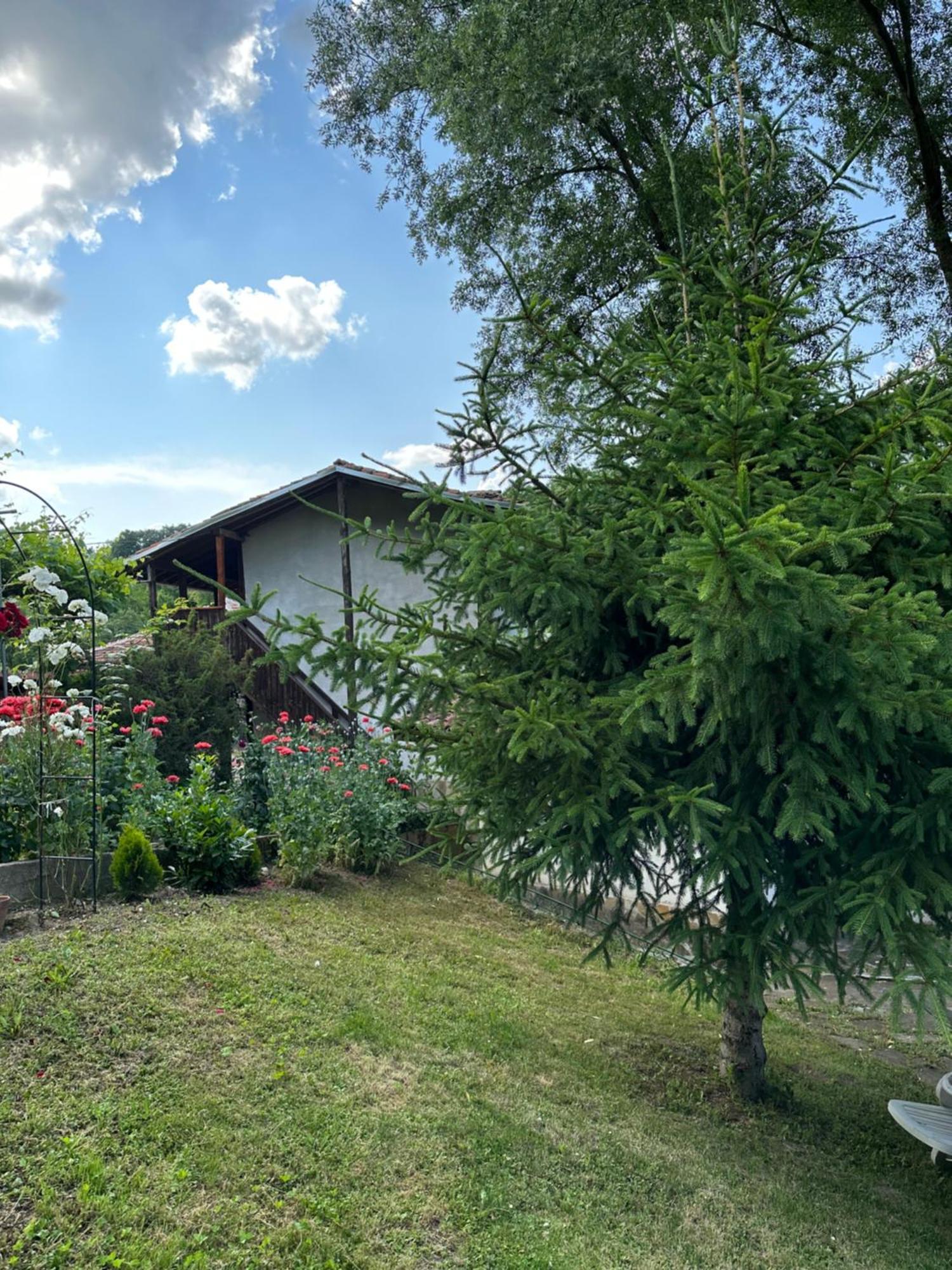 Вила Чевермето Palitsi Exterior photo